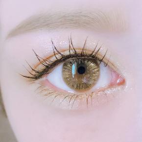 ◎